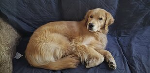 Willow 25 months.jpg