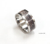 2 - Elk Antler Marrow SS Size 11 X 6mm.JPG