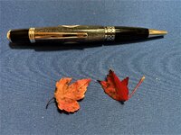 Maple Leaves.JPEG
