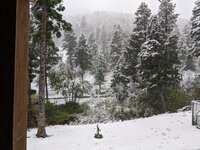 Snowing on the 7th.jpg
