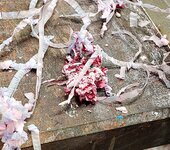 shavings02.jpg