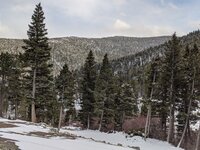 my mountains 2.jpg