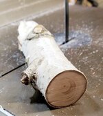 birch02.jpg