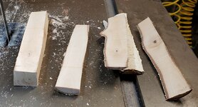 birch03.jpg