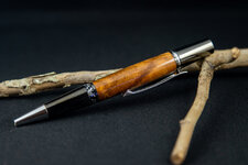 Pens 27 SEP 2020-3.jpg