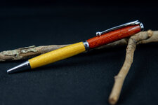 Pens 27 SEP 2020-4.jpg