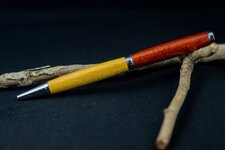 Pens 27 SEP 2020-5.jpg