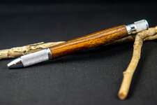 Pens 27 SEP 2020-7.jpg