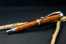 Pens 27 SEP 2020-8.jpg