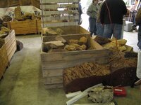 IMG_4528.jpg