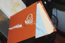 Journal - 3-26-10 Quatro Pigskin Antler Raffia 2.jpg