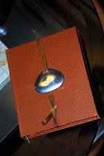 Journal - 3-26-10 Quatro Pigskin Ornament.jpg