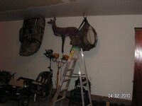 4.2.2010 00001a.jpg
