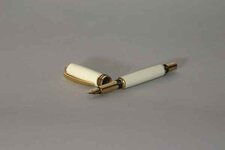 sambrook_jerry%20alternative%20ivory%20pen.jpg
