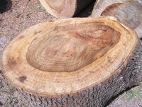 Camphor2.jpg