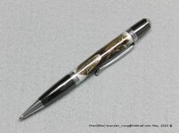 CIMG0837(gimp).jpg
