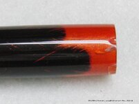 CIMG0866(zoomed in)(gimp).jpg