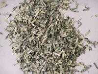 money2.jpg