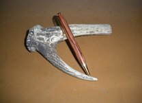 hairy oak single twist.JPG