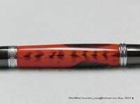 CIMG0873(gimp).jpg