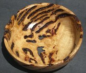 TazBurlBowl-700-1.jpg