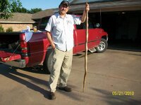 Bullsnake 2.JPG