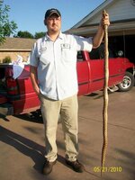 Bullsnake 3.jpg