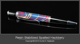 Stab Hackberry.jpg