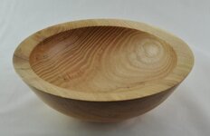 Black Locust NF01.jpg