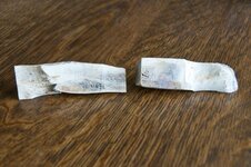 20100530Gator Pen004.jpg