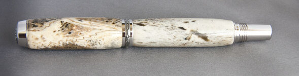20100531Gator Pen009.jpg