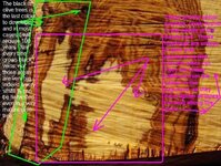 Majestic olive slab in profile and with comments.jpg