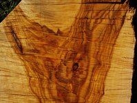 Radiata pine works at storage paddock 025.jpg