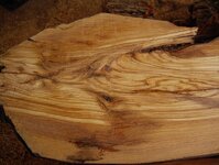 timber preparation 301.jpg