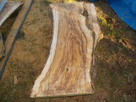 timber preparation 240.jpg