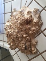 0371CE6C-1143-4DEB-AF7D-8F7A6057C65B.jpeg