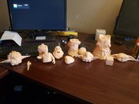 20201021_134323.jpg