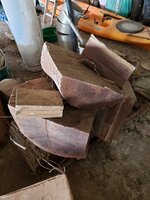 20201017_145142.jpg