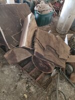 20201017_145149.jpg
