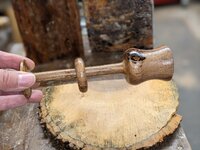 Captured ring 3.jpg