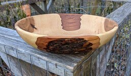 Hickory 12in 4.jpg