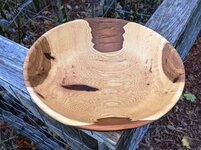 Hickory 12in 5.jpg