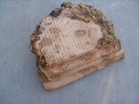 PinonBurl.jpg PinonBurl.jpg