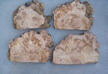 PinonBurl1.jpg PinonBurl1.jpg
