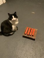 C2C1B4DE-EDDD-46FF-942D-05DF467F9D87.jpeg