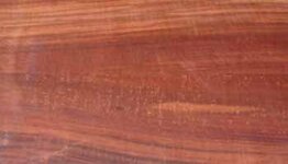 Tamarindo.jpg