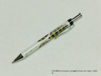 CIMG0890(gimp).jpg