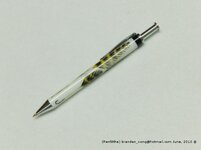 CIMG0891(gimp).jpg