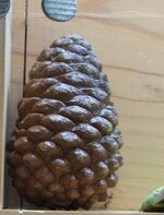 Copy (2) of info 005.jpg