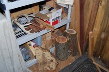DSC_0010 (Small).JPG